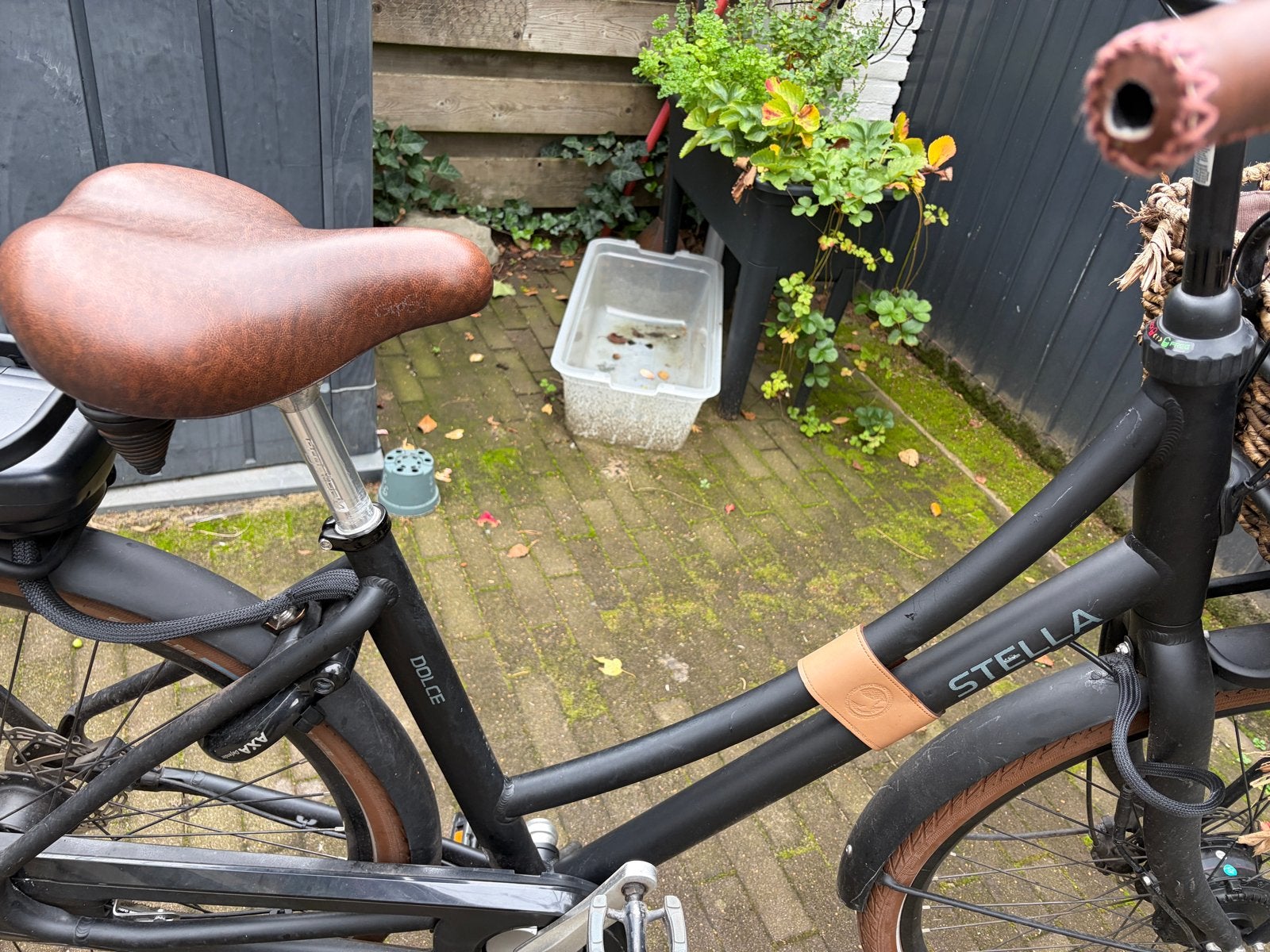 Stella Dolce 51 inch, 47 tot 51 cm, Ophalen, Gebruikt, Overige merken