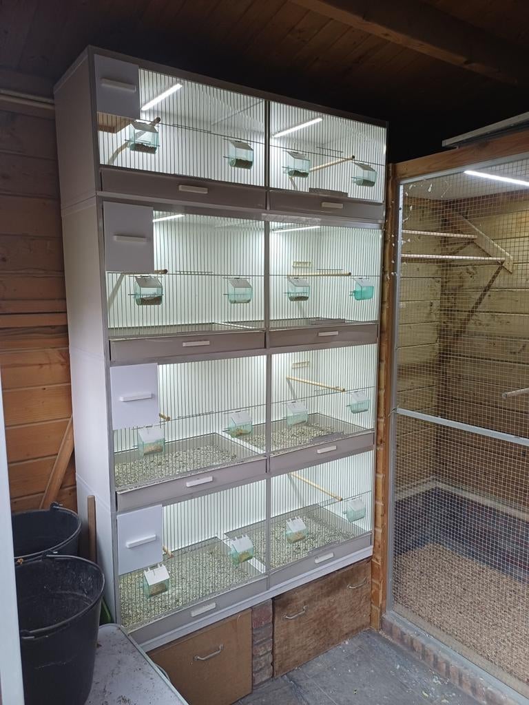 Gehu kooien weinig gebruikt, Dieren en Toebehoren, Ophalen of Verzenden, Zo goed als nieuw, Hout, Broedkooi of Kweekkooi
