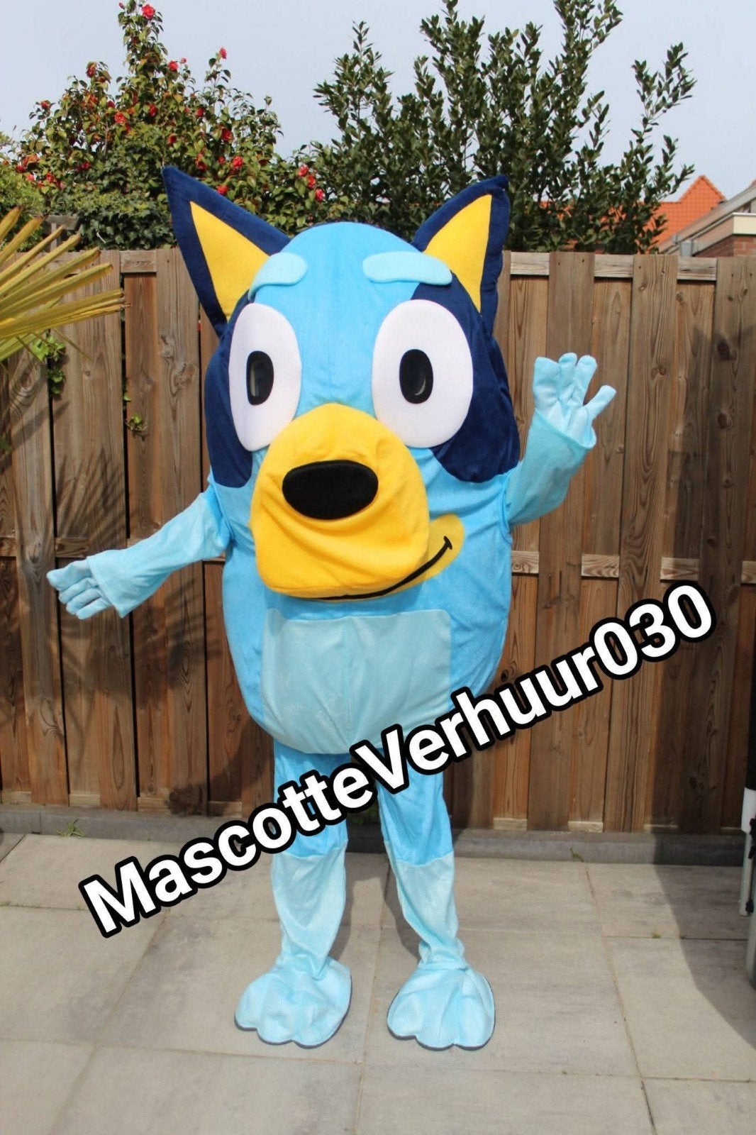 Bluey mascotte huren op locatie verjaardag feest, Ophalen, Zo goed als nieuw, Verjaardag