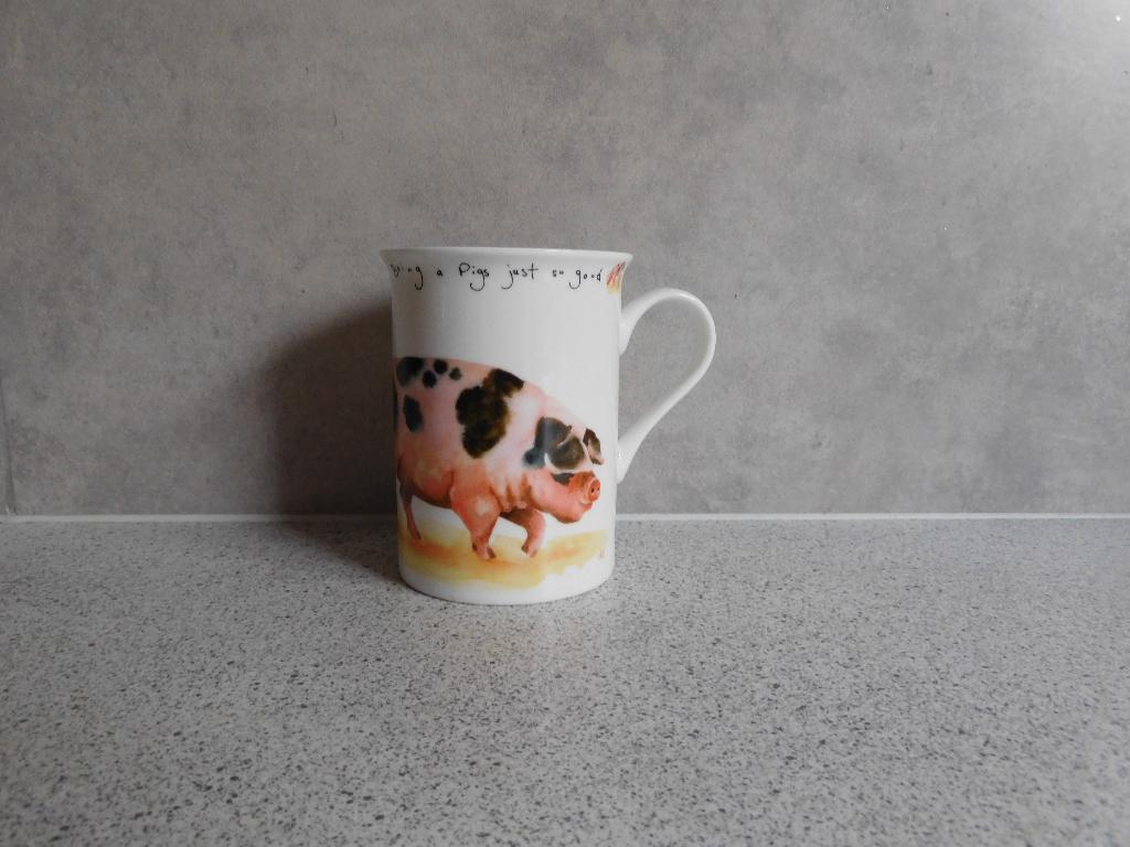 Mok Fine Bone China Pigs Mud Leonardo Collection, Ophalen of Verzenden, Zo goed als nieuw, Overige stijlen, Kop(pen) en/of Schotel(s)