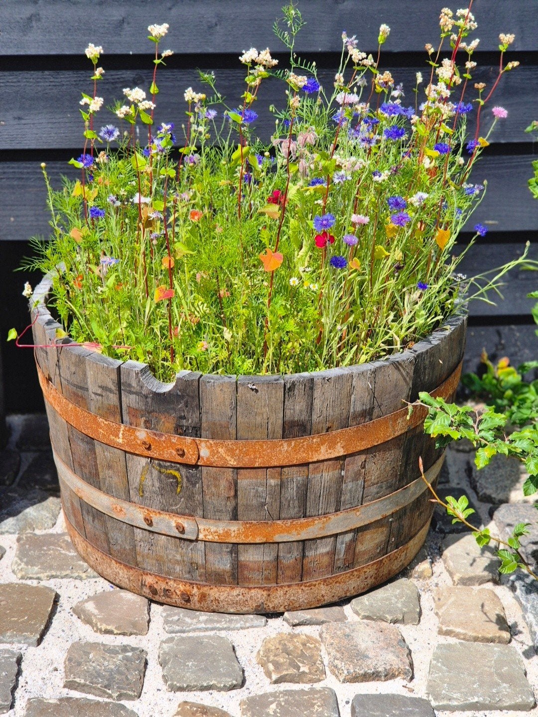 half whiskeyvat houten bloembak, Tuin en Terras, Ophalen, Rond, Hout