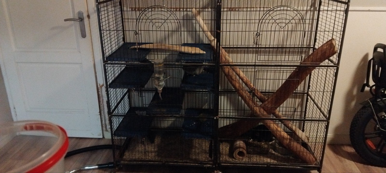Chinchilla's, Ophalen, Kooi, 110 cm of meer, Zo goed als nieuw