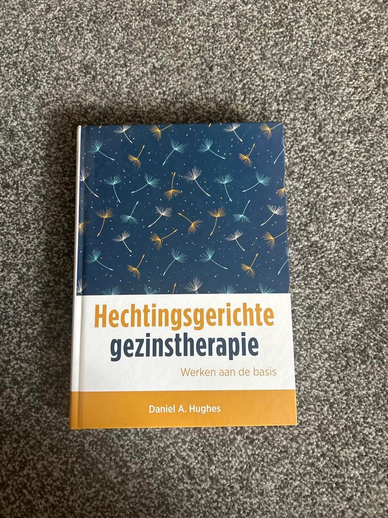 Hechtingsgerichte gezinstherapie - Daniel A. Hughes, Ophalen of Verzenden, Gamma, Gelezen, WO