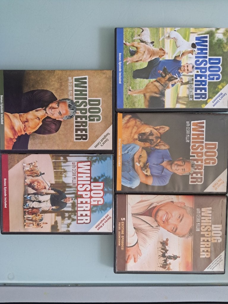 Dog Whisperer met Cesar Millan DVD Boxset (5 stuks), Gelezen, Honden, Cesar Millan, Ophalen of Verzenden