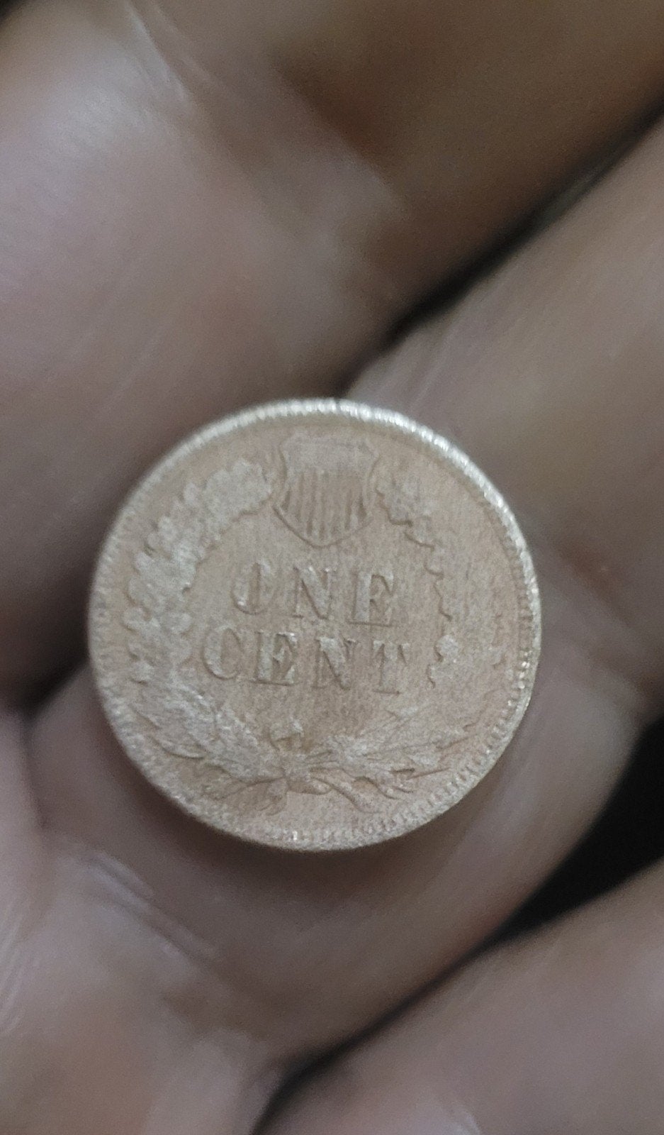 100 jaar uit, Ophalen of Verzenden