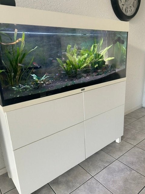 Wegens beeindiging hobby Jewel Aquarium te koop, Ophalen, Gebruikt, Inclusief vissen, Overige typen