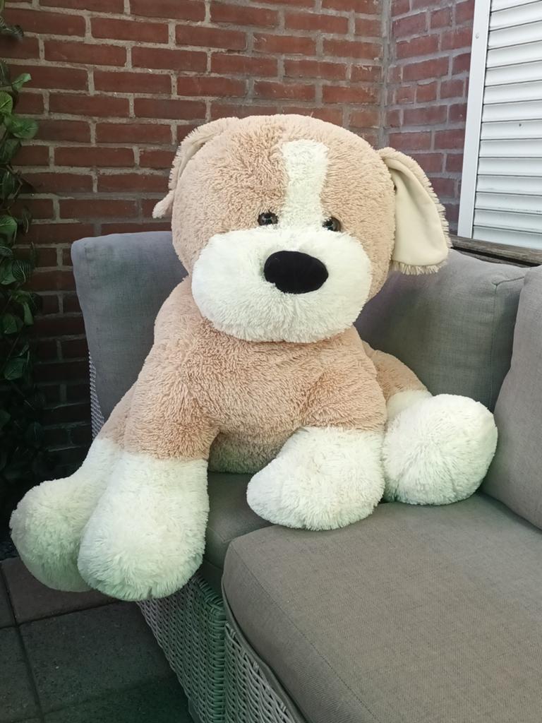 Gratis mega grote knuffel hond, Ophalen, Hond, Zo goed als nieuw, Middelgroot (20 tot 80 cm)
