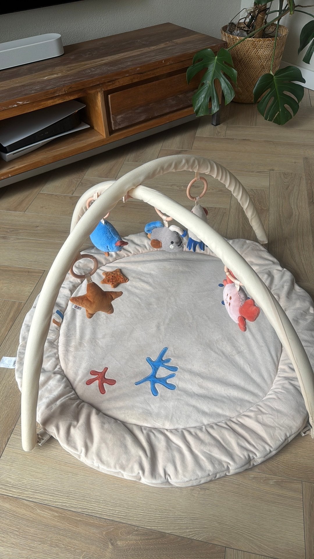 Speelkleed Petit Amelie, Ophalen, Zo goed als nieuw