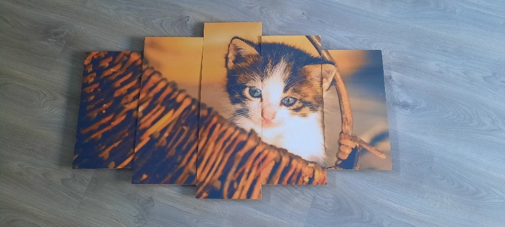 5-luik kitten, Wandbord, Ophalen, Zo goed als nieuw