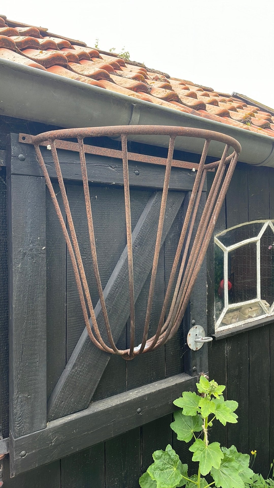 Paarden ruif, Ophalen, Overige soorten