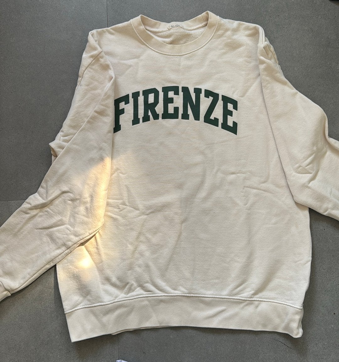 Brandy Melville trui Firenze - Florence, Ophalen of Verzenden, Zo goed als nieuw, Beige
