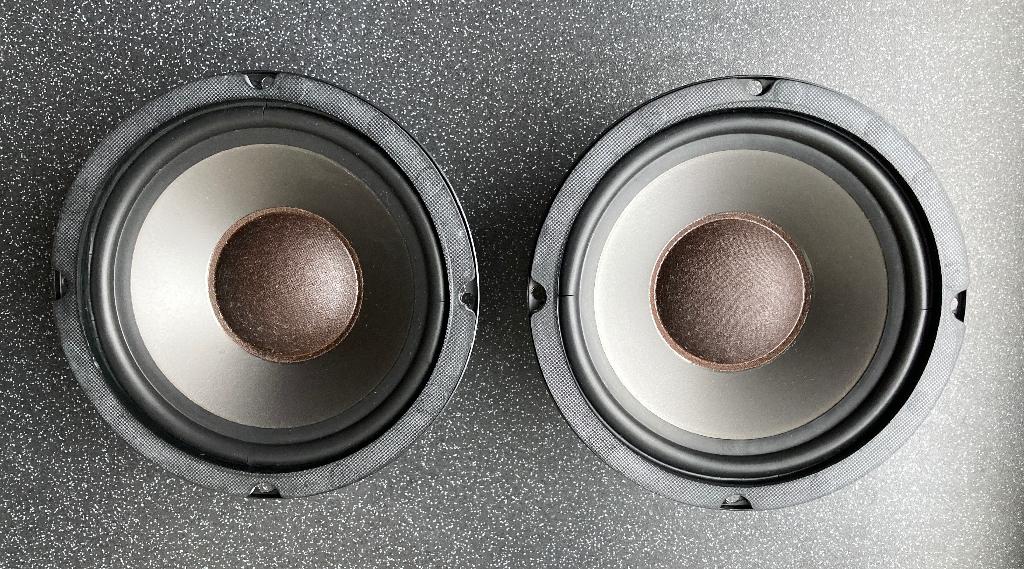 SE Electronics Egg 150 woofers W-165 100W/8 Ohm 50Wrms