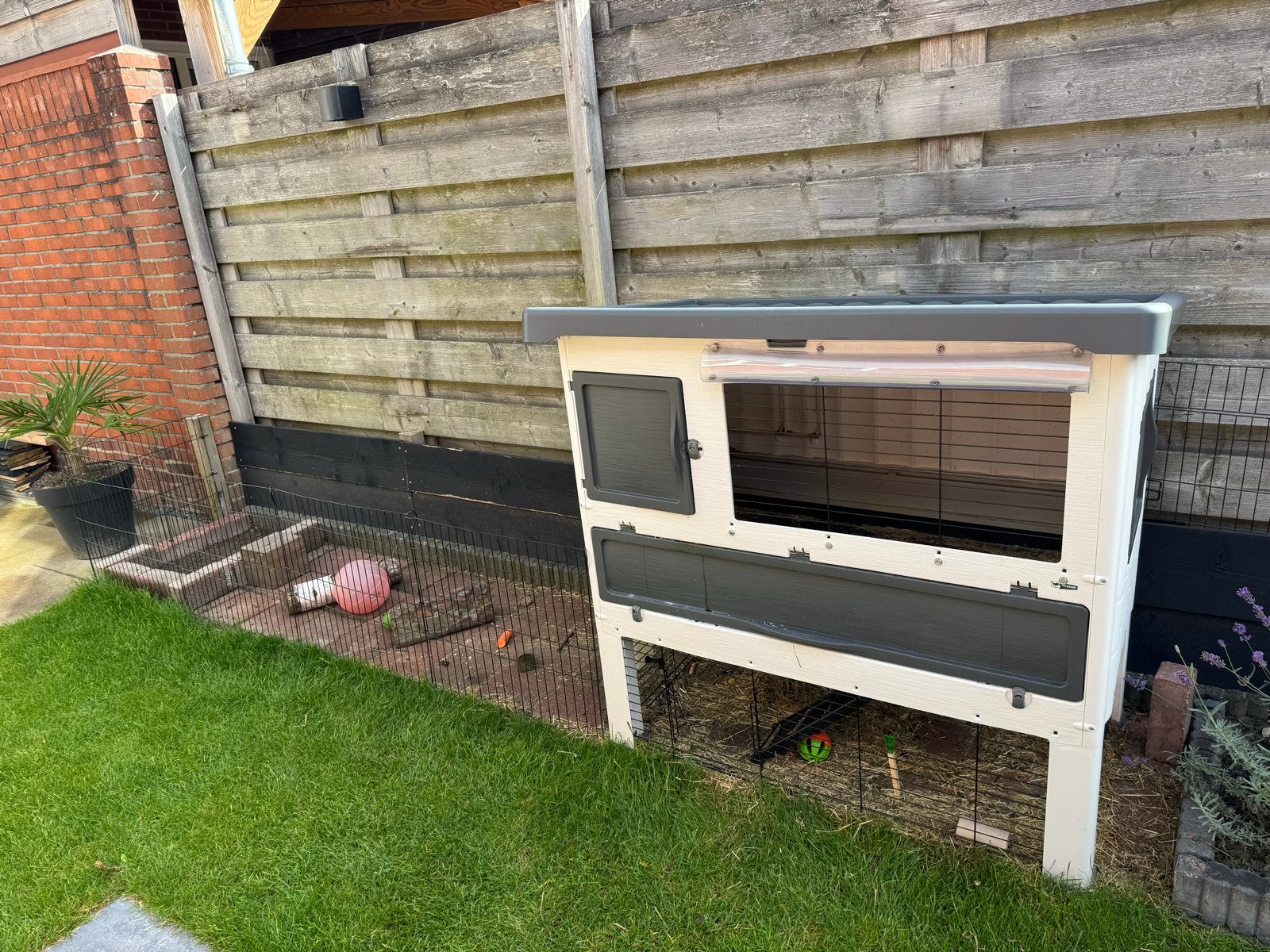 Ferplast konijnenhok, Ophalen, 110 cm of meer, Cavia, Zo goed als nieuw