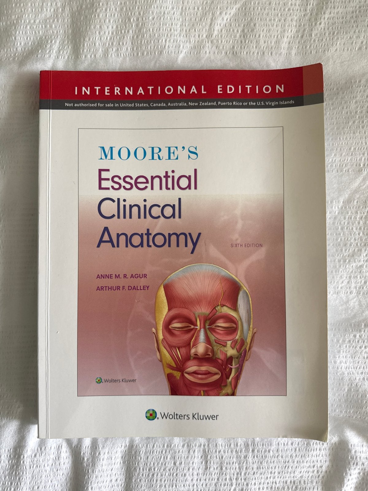 Moore's Essential Clinical Anatomy - Zesde Editie, Boeken, Ophalen of Verzenden, Beta, Zo goed als nieuw, WO