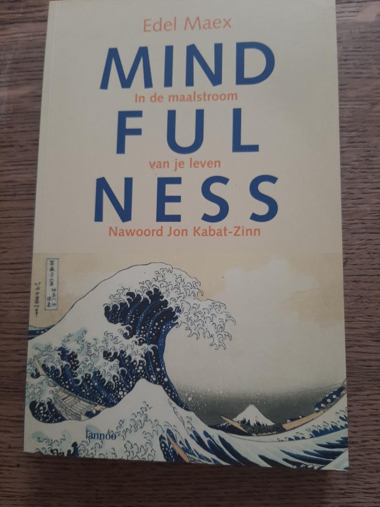 Mindfulness Edel Maex, Tarot, Innerlijke groei, Tao Te Tjing, Boeken, Ophalen of Verzenden, Zo goed als nieuw, Tarot of Kaarten leggen