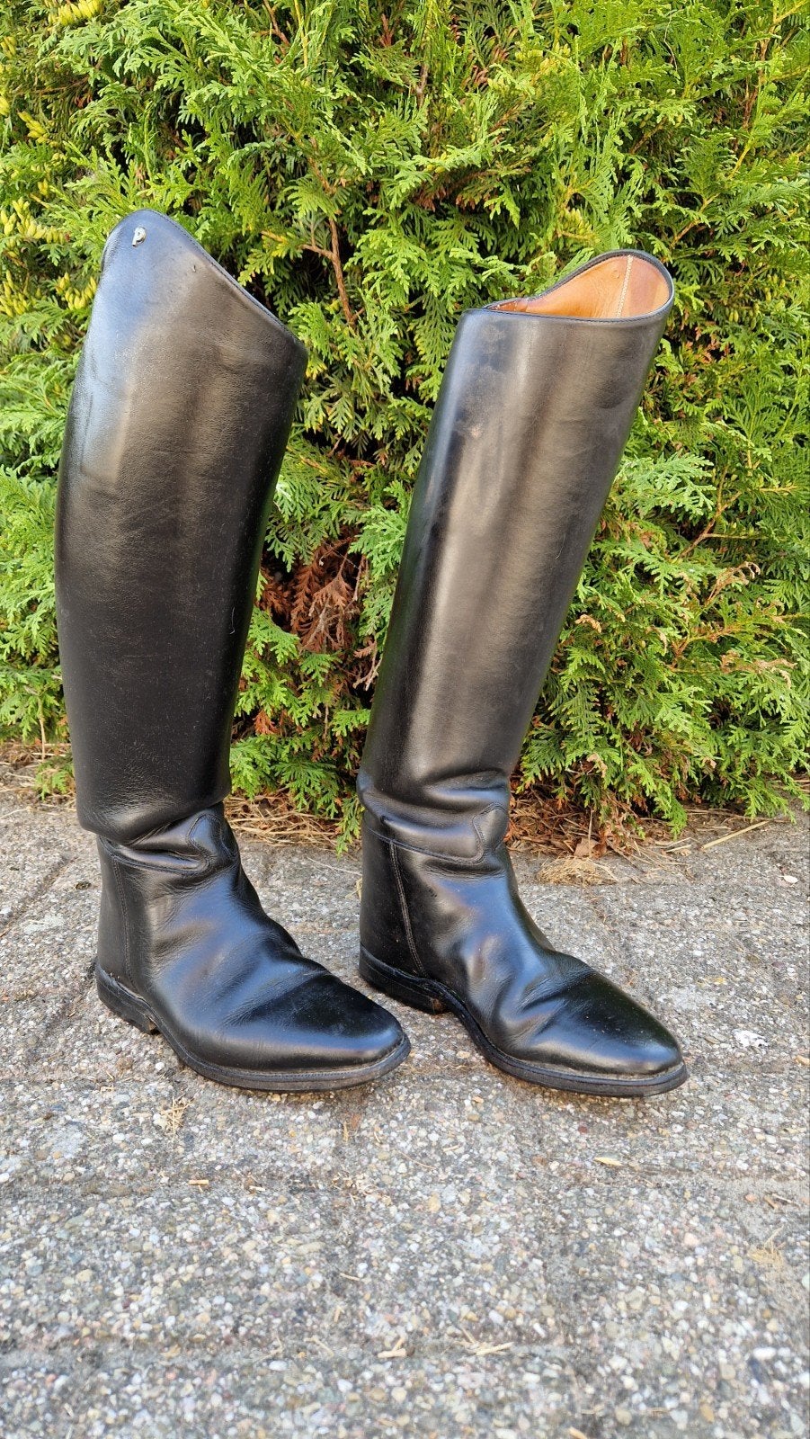 Rijlaarzen Leer Petri 40/41, Ophalen, Dressuur