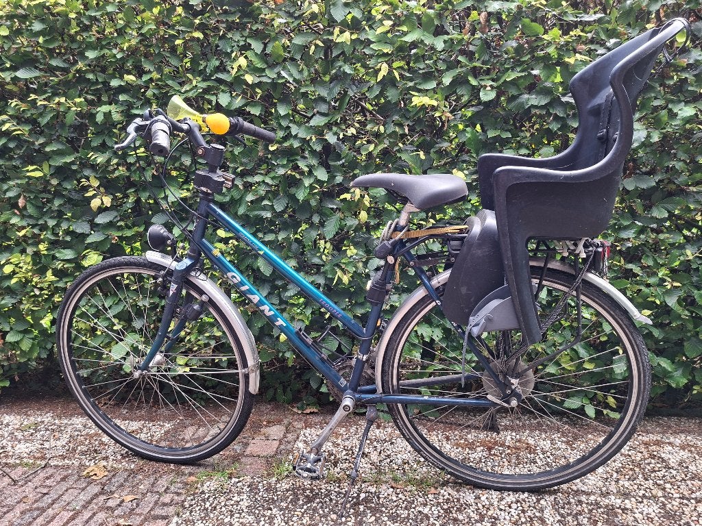 fiets, Fietsen en Brommers, Fietsen | Dames | Moederfietsen, Ophalen, Velgrem, Versnellingen, Giant