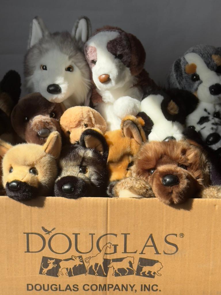Gezocht: douglas knuffels, Kinderen en Baby's, Speelgoed | Knuffels en Pluche, Ophalen of Verzenden, Zo goed als nieuw