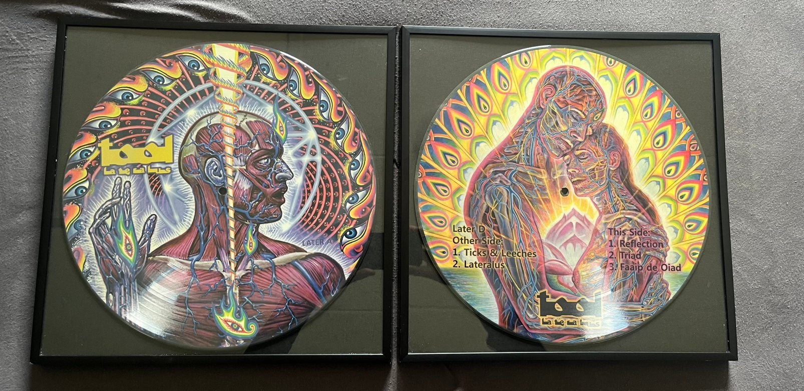 TOOL Lateralus Picture Disc Vinyl Set, Ophalen of Verzenden, Zo goed als nieuw, 12 inch, Poprock