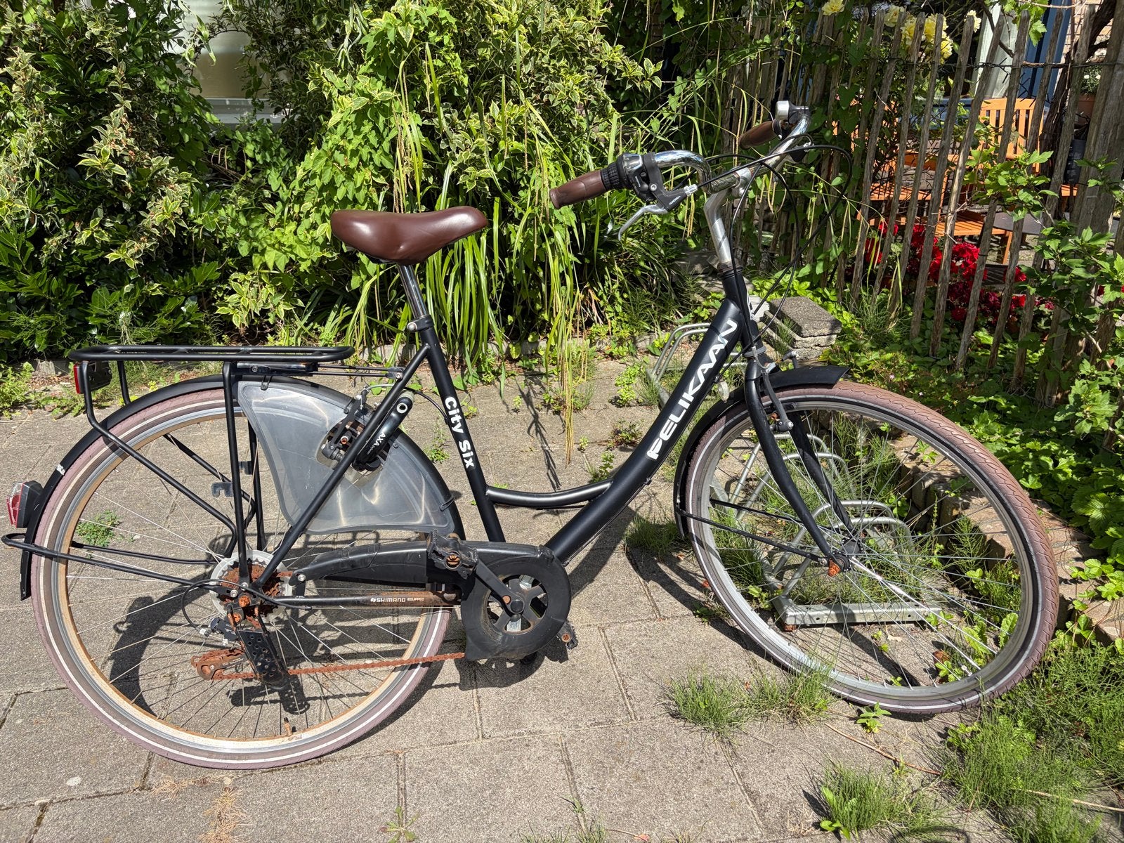 Pelikaan City Six damesfiets, Velgrem, Versnellingen, Ophalen, Overige merken