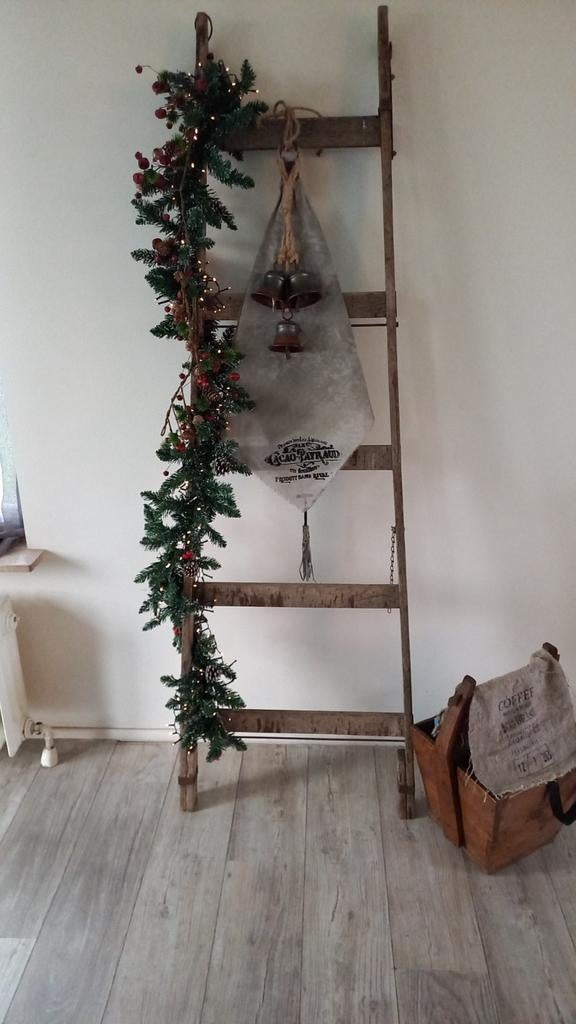 Stoere oude plukladder landelijk brocante, Ophalen, Gebruikt, Hout, Landelijk