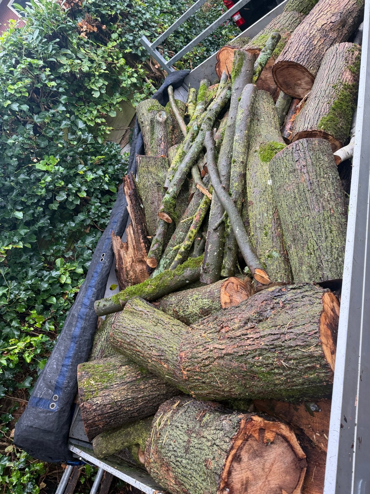 Brandhout en motorzaag sachs dolmar, Tuin en Terras, Minder dan 3 m³, Ophalen, Eikenhout, Blokken