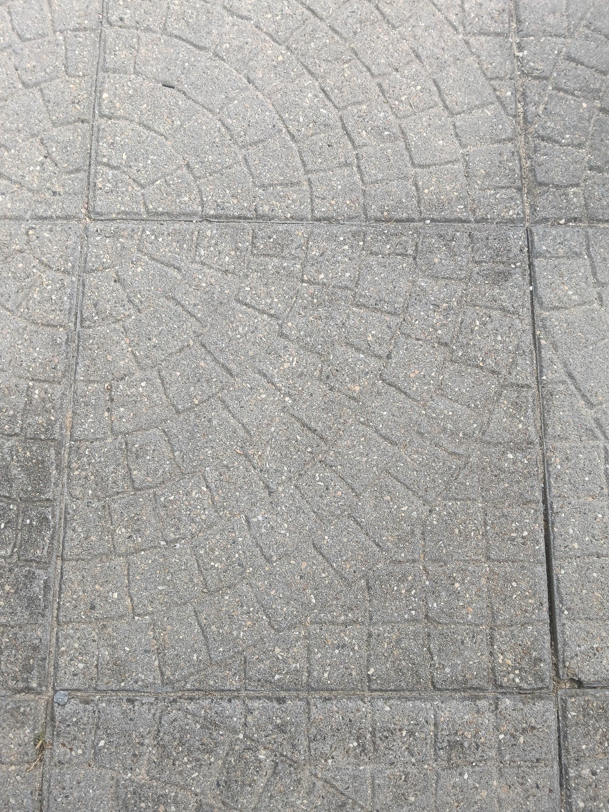 gezocht Betonnen terrastegels met cirkelpatroon, Gebruikt, Ophalen of Verzenden, 10 m² of meer, Beton