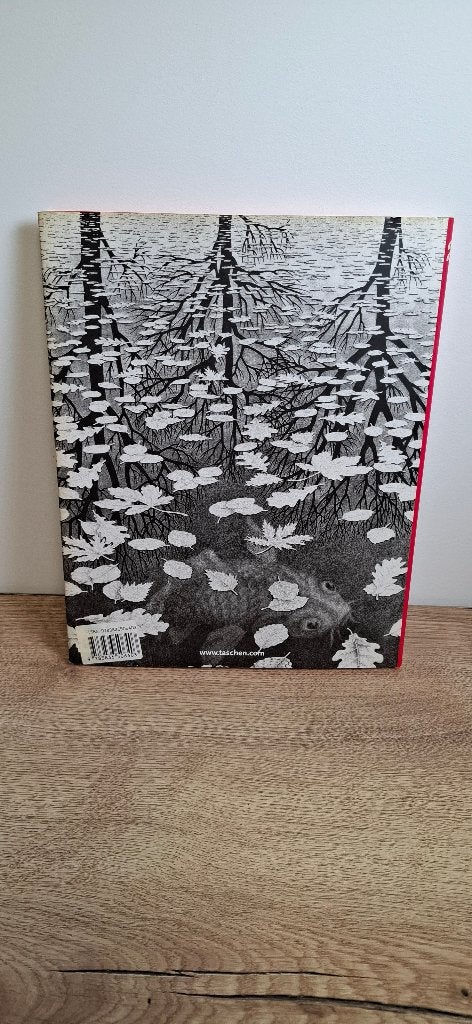 M.C. Escher Grafiek en tekeningen, Boeken, Ophalen of Verzenden, Gelezen, Overige onderwerpen