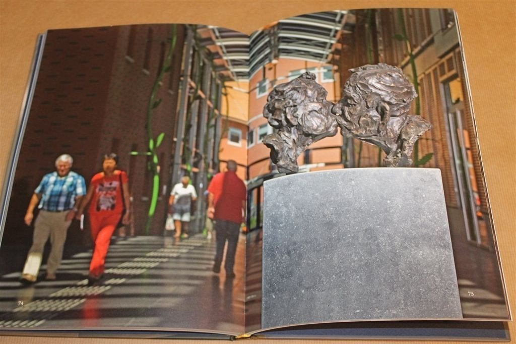 Van Kus tot Koning — Bronzen Sculpturen Natasja Bennink, Ophalen of Verzenden, Zo goed als nieuw