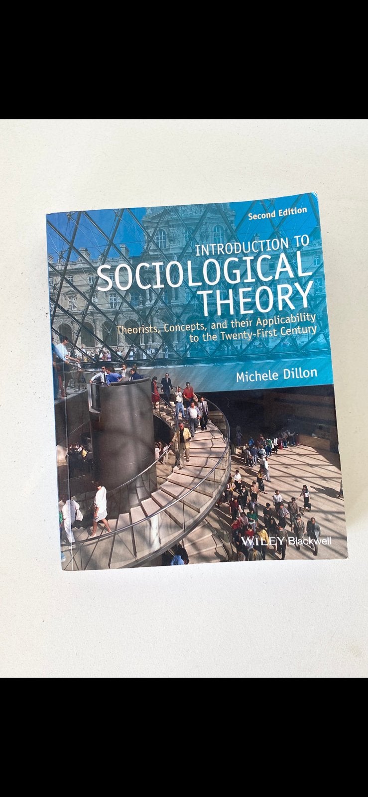 boek: ‘INTRODUCTION TO SOCIOLOGICAL THEORY’, Ophalen of Verzenden, Zo goed als nieuw, Michele Dillon