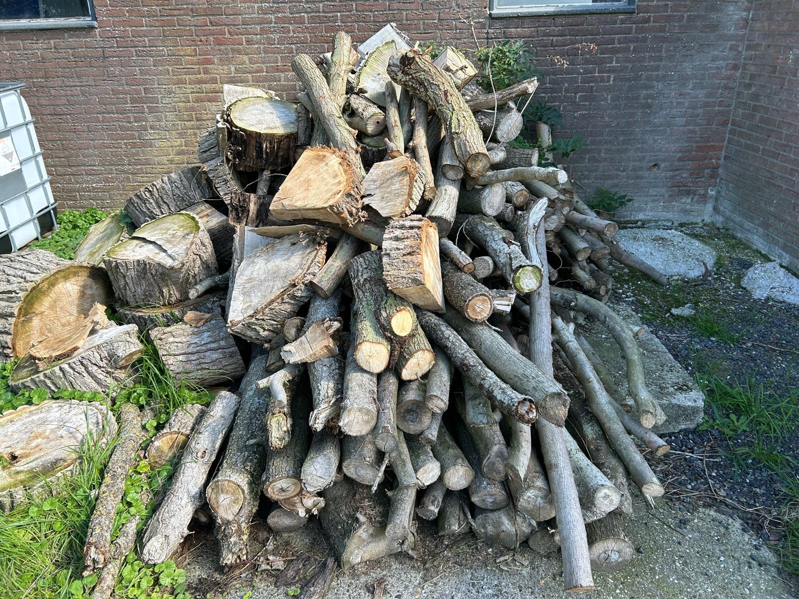 Haardhout, Tuin en Terras, Haardhout, 6 m³ of meer, Ophalen, Elzenhout, Blokken