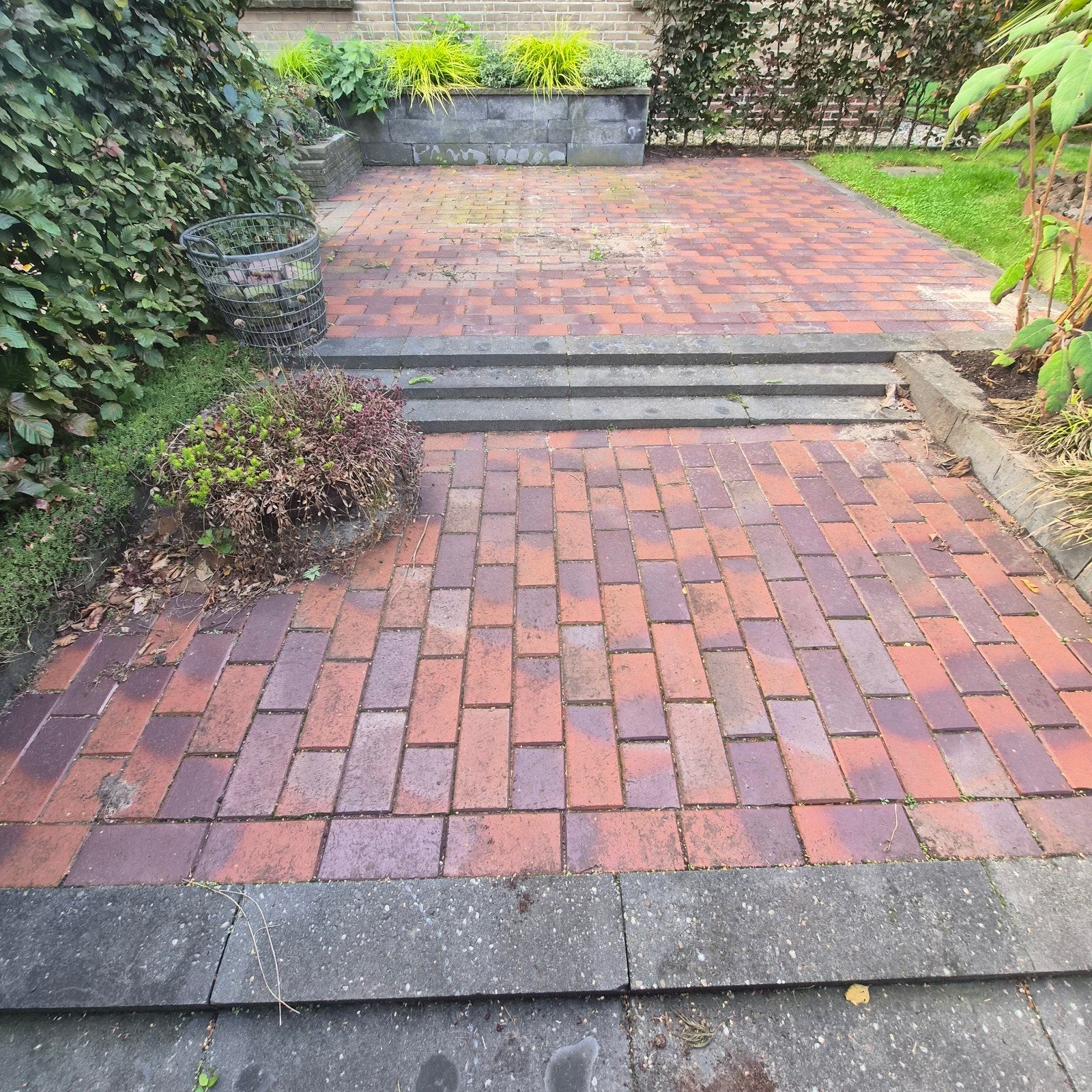 terras stenen gratis, Tuin en Terras, Ophalen, Gebruikt, Beton, Terrastegels