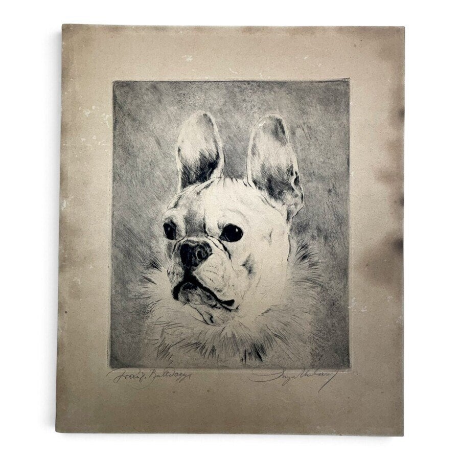 Kurt Meyer-Eberhardt (1895-1977) - Franse bulldog, Ophalen of Verzenden, Flora en Fauna, Ets, Gesigneerd