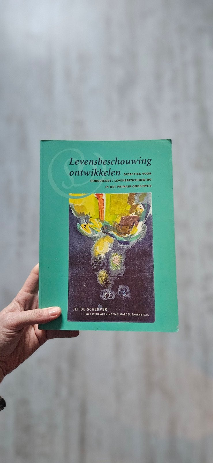 Levensbeschouwing ontwikkelen, Boeken, Studieboeken en Cursussen, Jef de Schepper, Zo goed als nieuw, Beta, HBO