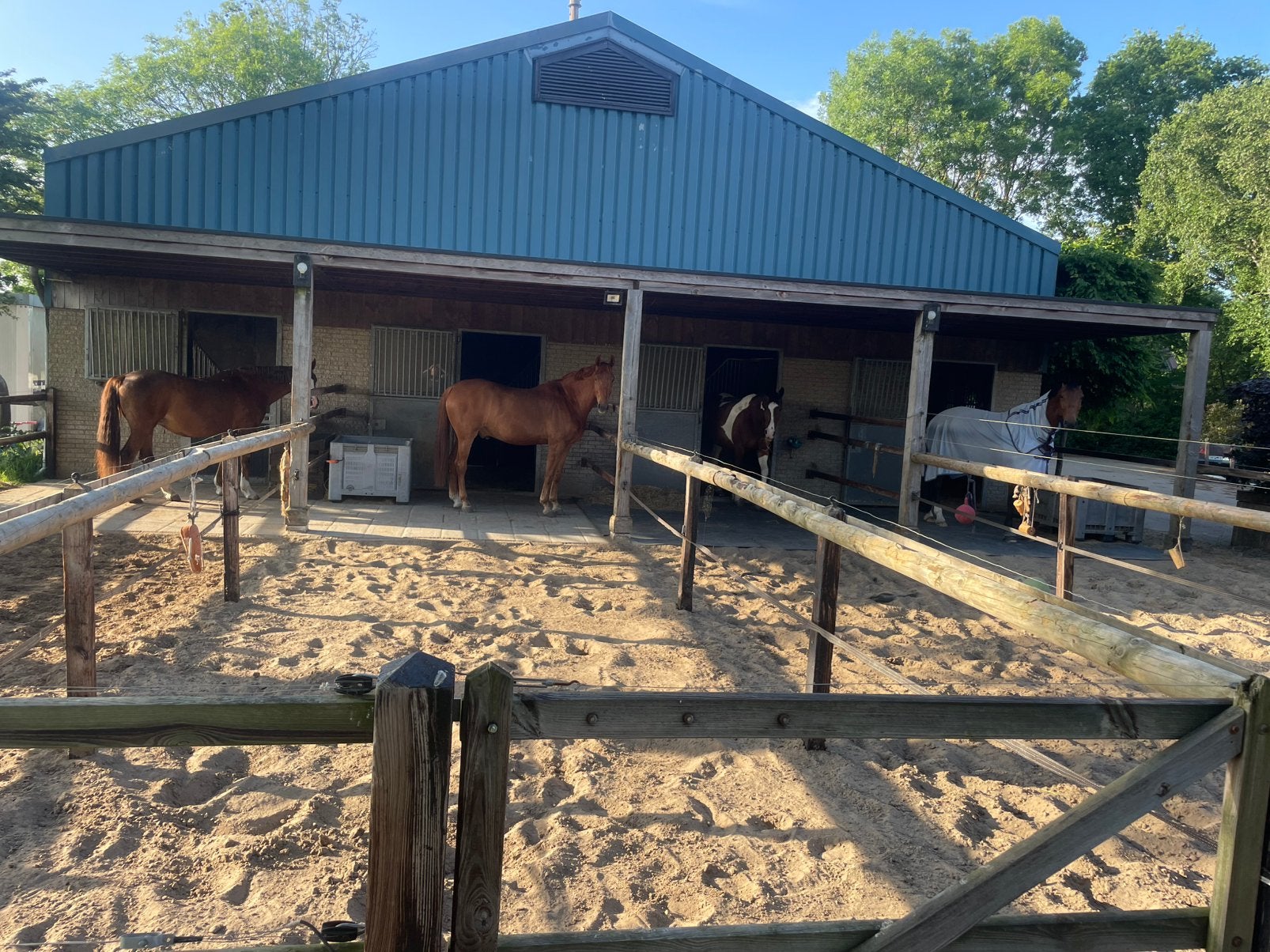 Pensionstalling in eigen beheer aangeboden (1 paard), Dieren en Toebehoren, Stalling en Weidegang, Weidegang, 1 paard of pony