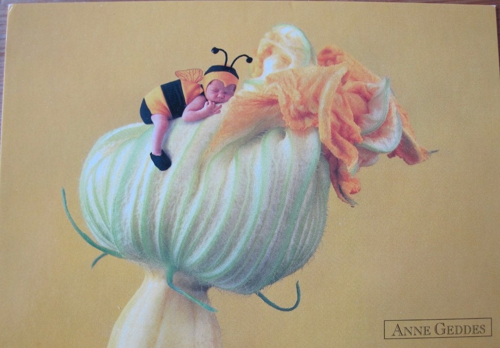 Anne Geddes nr. A134 - Baby bee on pumpkin flower - 1999, Verzenden, 1980 tot heden, Ongelopen, Kinderen
