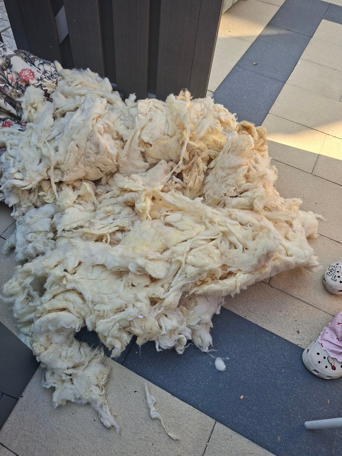 Schapenwol, Ophalen