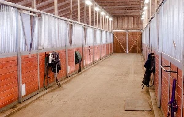 Stal/wei/paddock voor paard, Dieren en Toebehoren, Stalling en Weidegang, Weidegang, 1 paard of pony
