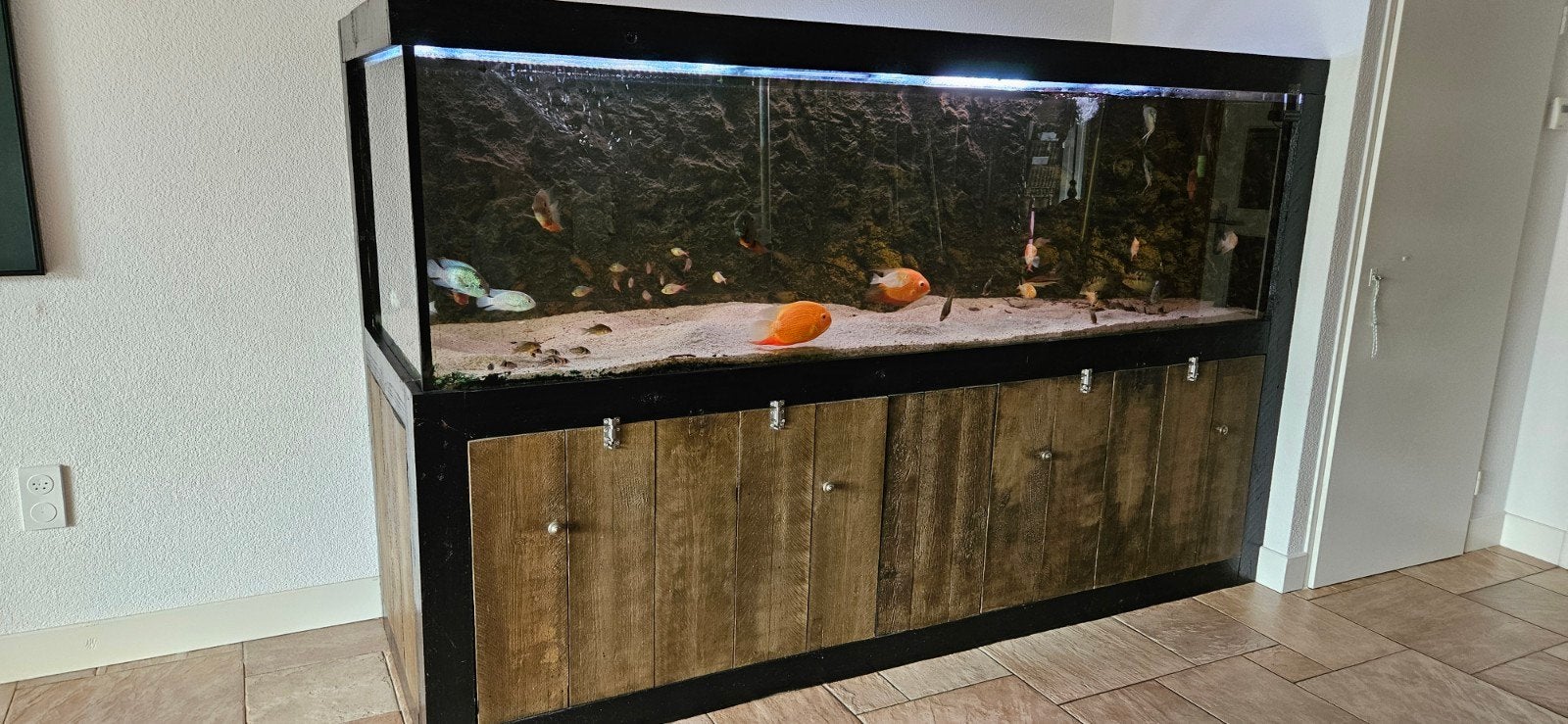 Cristallo aquarium L250xD79xH75 afgewerkt met steigerhout, Dieren en Toebehoren, Ophalen, Inclusief deksel, Nieuw, Leeg aquarium