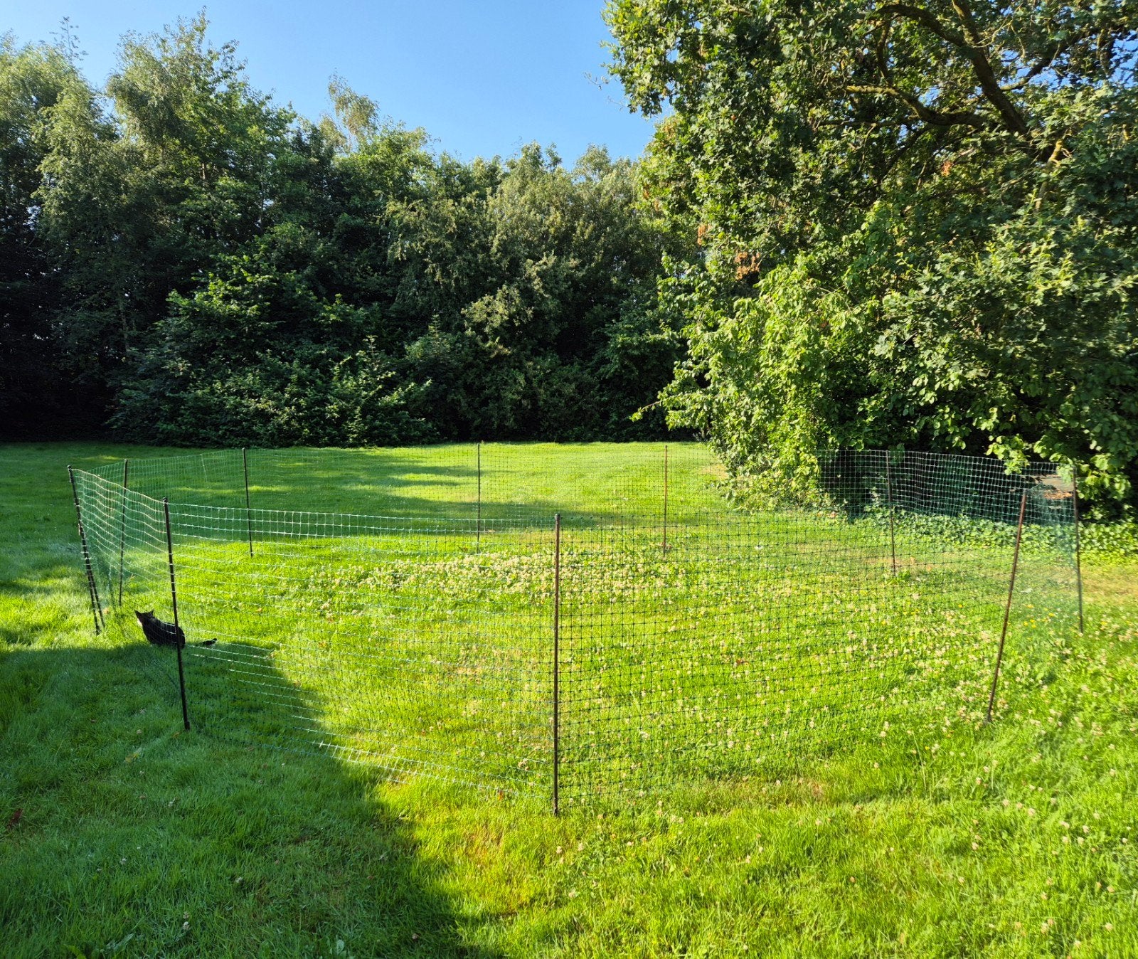 Kippenren ,afrastering of fencing Omlet mk2, 21 meter, Dieren en Toebehoren, Pluimvee | Toebehoren, Ophalen of Verzenden, Kippenhok of Kippenren