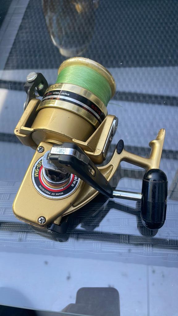 Daiwa  GS-9M Zeemolen, Watersport en Boten, Hengelsport | Zeevissen, Ophalen of Verzenden, Zo goed als nieuw, Molen
