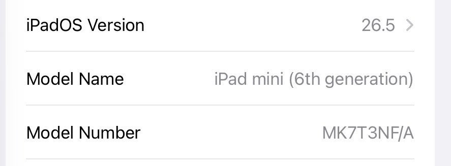 Foto 12 van Apple iPad Mini 6e generatie 256GB Wi-Fi Zo goed als nieuw