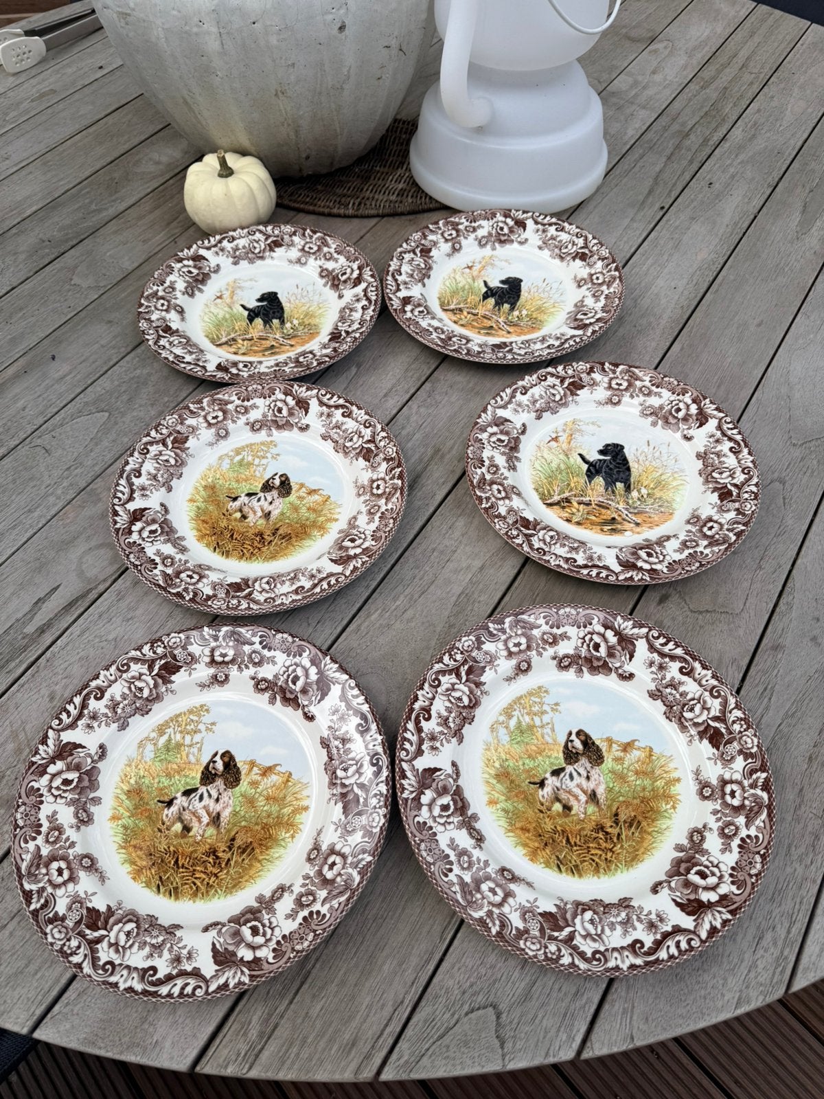 Spode Woodland 6x dinerborden met 3x jachthonden 27 cm new, Ophalen, Nieuw, Porselein, Bord of Schaal