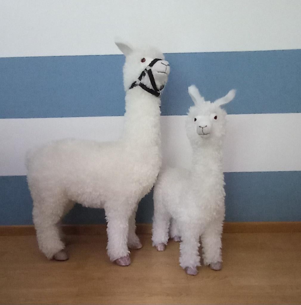 Decoratieve alpaca's, Ophalen