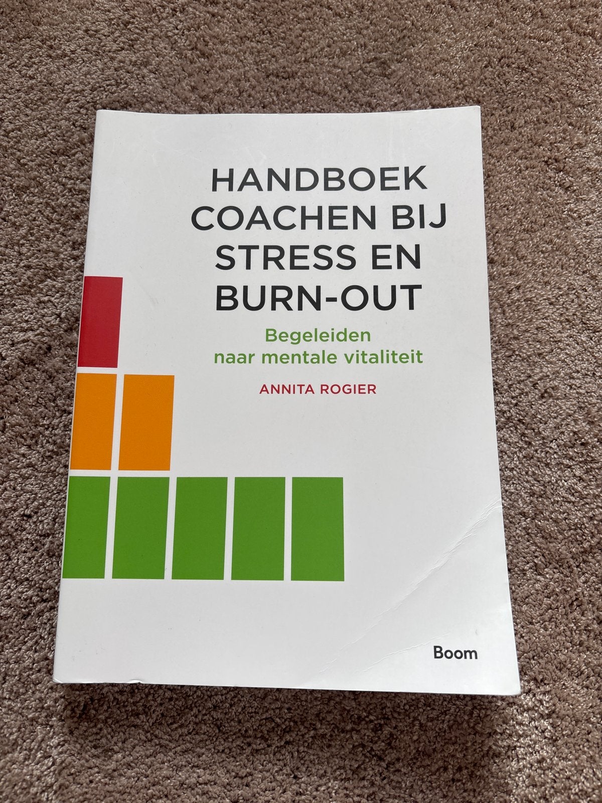 Handboek Coachen bij Stress en Burn-out - Annita Rogier, Boeken, Ophalen of Verzenden, Zo goed als nieuw