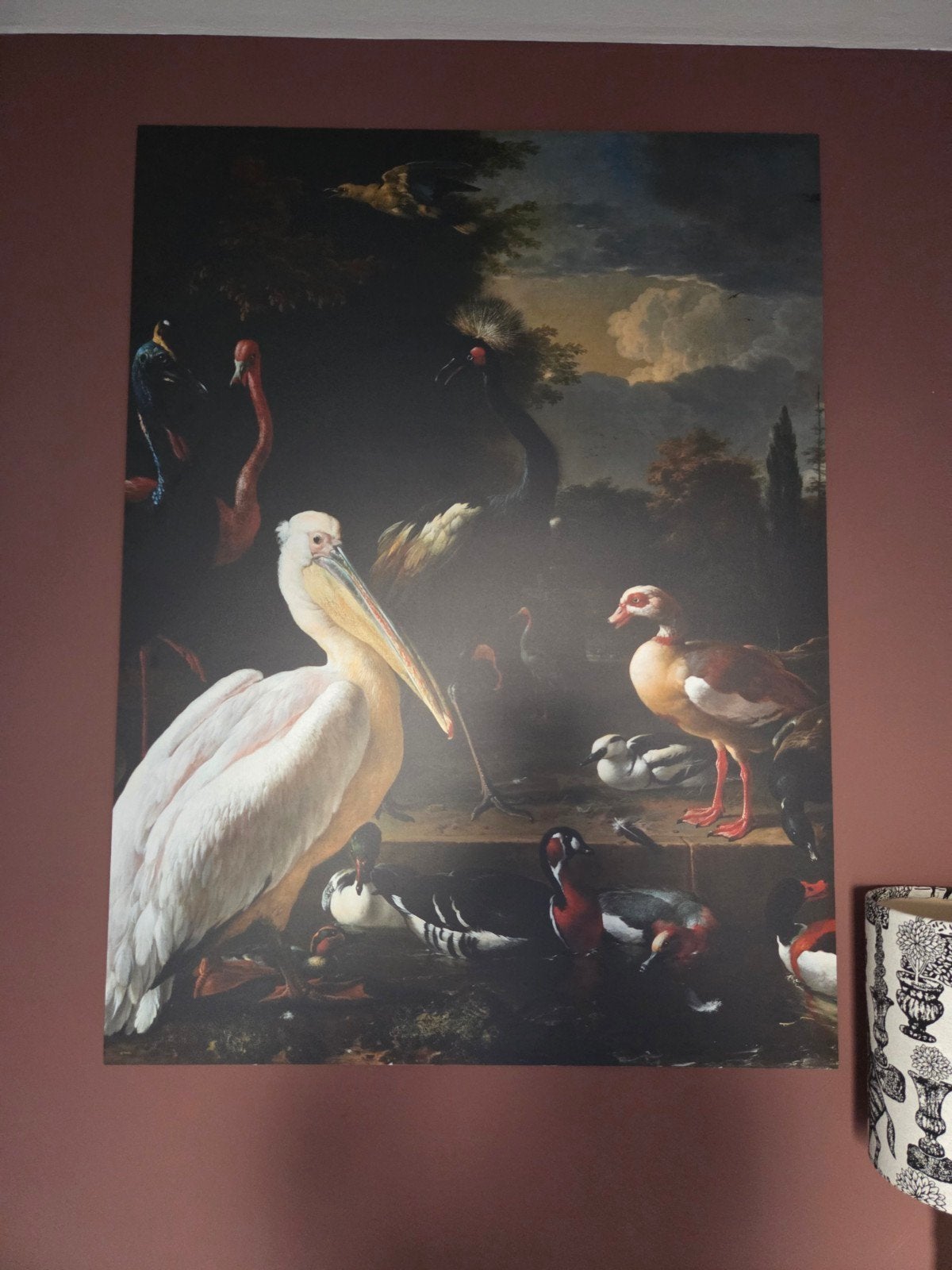 Foto afdruk : Het drijvend veertje op forex, Ophalen of Verzenden