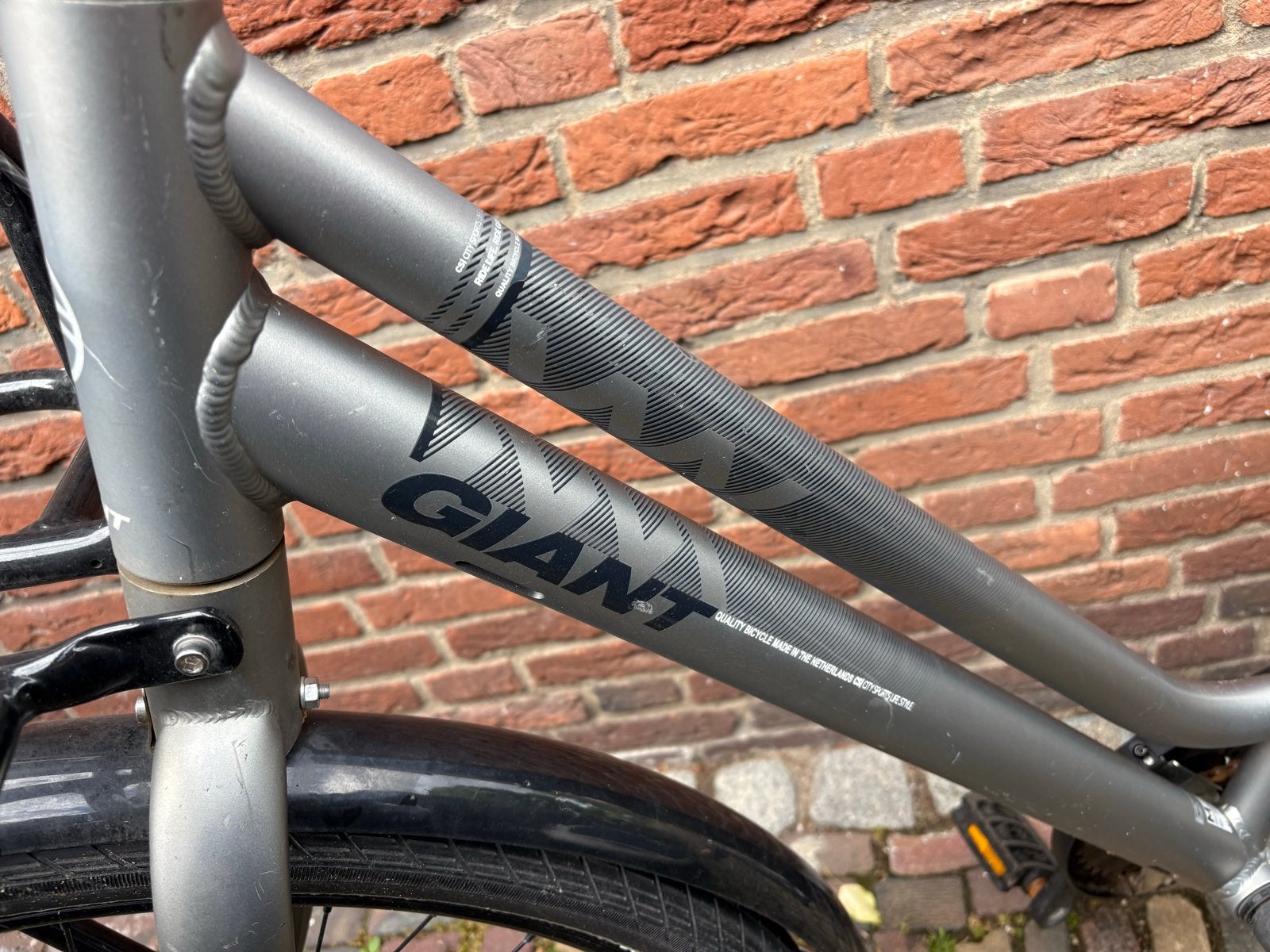 Giant Transportfiets met Voordrager - opknapper, Fietsen en Brommers, Fietsen | Dames | Damesfietsen, Terugtraprem, Gebruikt, 50 tot 53 cm