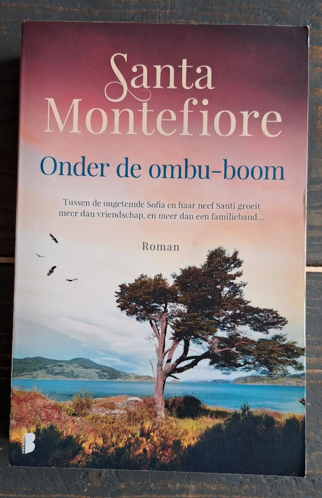 Santa Montefiore – Onder de ombu-boom, Boeken, Romans, Gelezen, Ophalen of Verzenden, Santa Montefiore, Nederland