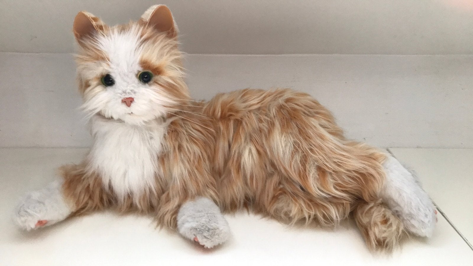 Dementie alzheimer poes robot interactieve kat