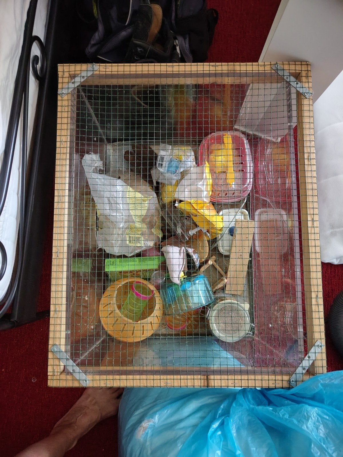 gratis grote plexiglas hamsterbak, Ophalen, Kooi, Hamster, Minder dan 60 cm